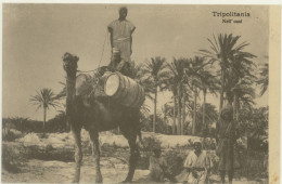 TRIPOLITANIA -TRIPOLI -NELL'OASI - Libia