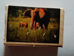 ELEPHANT,TABRIZ FACTORY-IRAN,matchbox - Cajas De Cerillas (fósforos)