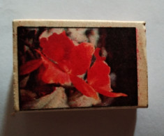 FLOWER,TABRIZ FACTORY-IRAN,matchbox - Cajas De Cerillas (fósforos)