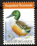 BE    4537   XX     ---    MNH  --   Oiseau Buzsin : Canard Souchet - Nuovi