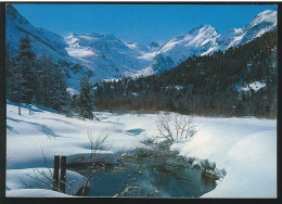 109708/ PONTRESINA, Wintermorgen Bei Morteratsch - Pontresina