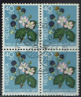 Schweiz 1973, MiNr.: 1015, 4erBlock Mit FDC Gestempelt - Usati