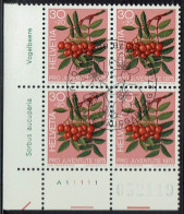 Schweiz 1975, MiNr.: 1064, 4erBlock Mit FDC Gestempelt - Usati