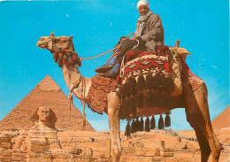 Egypte - Gizeh - Giza - Camel Driver Near The Sphinx And Khafre Pyramid - Chamelier - Chameaux - Voir Timbre - CPM - Voi - Guiza