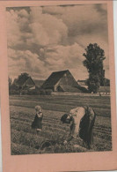 69947 - Bauer Auf Dem Feld - Ca. 1950 - Sonstige