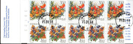 Schweden 1996 - Markenheftchen Mi.Nr. 211 - Gestempelt Used - 1981-..