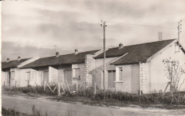 Torcy (77 - Seine Et Marne)  Cité De L'Abbé Pierre - Torcy