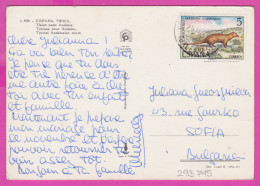 293745 / Spain - Typical Andalusian Court PC 1973 USED 5 Pts Animal Herpestes Ichneumon  Meloncillo Egyptian Mongoose - Storia Postale