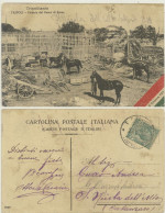 TRIPOLITANIA -TRIPOLI -FATTORIA DEL BANCO DI ROMA 1912 CON PIEGHE E STRAPPO IN BASSO - Libia