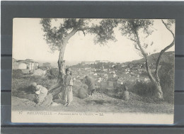 ALGÉRIE - PHILIPPEVILLE -PANORAMA ENTRE LES OLIVIERS - Skikda (Philippeville)