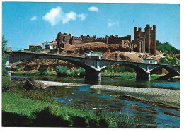 PUENTE SOBRE EL RIO ESLA / ESLA'S RIVER BRIDGE.- VALENCIA DE DON JUAN / LEON.- CASTILLA Y LEON.- ( ESPAÑA ). - León