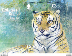 Fauna. Tigre 2012. - Guernsey