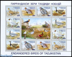 Tajikistan 1996 Birds M/s, Mint NH, Nature - Birds - Tajikistan