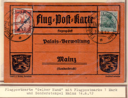 DR., Rhein-Main Flug.-Karte Mi.-Nr. IV "Gelber Hund" Ab Darmstadt. - Zeppelins