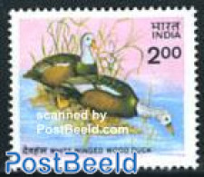India 1985 Ducks 1v, Mint NH, Nature - Birds - Ducks - Ungebraucht