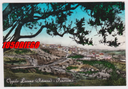 OPPIDO LUCANO - PANORAMA F/GRANDE VIAGGIATA 1966 - Potenza