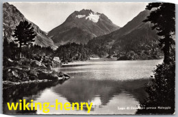 Bregaglia Maloja - S/w Lago Di Cavioggio Presso Maloggia - Silsersee - Bregaglia