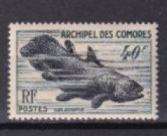 COMORES  NEUF MNH **1954 Poisson - Unused Stamps
