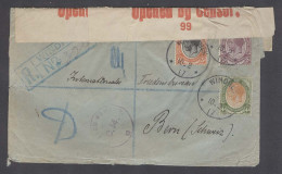 SOUTH AFRICA. 1917 (10 Feb). SW Africa / Windhoek - Switzerland (17 Aug). Reg Tricolor Multifkd Env 9d Rate Cds R-blue C - Altri & Non Classificati