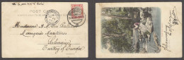 SOUTH AFRICA. 1903 (21 Dec). Tranvaal. Johannesburg - Turkey / Salonique. Fkd Env Card + Arrival BPO. Reverse Natal Rive - Altri & Non Classificati