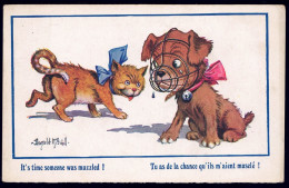 +++ CPA - Fantaisie - Illustrateur Donald MC GILL - Chien - Dog - Chat - Cat - Comique Séries 2932  // - Mc Gill, Donald