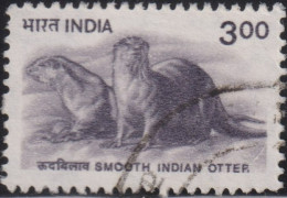 2000 Indien ° Mi:IN 1771, Sn:IN 1824, Yt:IN 1537, Sg:IN 1926, Smooth-coated Otter (Lutrogale Perspicillata), Wildlife - Gebruikt