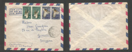 SOMALIA. 1956 (4 Feb) Mogadiscio - Switzerland, Geneva. Air Multifkd Fauna Issue Envelope, Tied Cds. XF. - Somalie (1960-...)