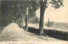 88 - Remiremont - La Promenade Du Calvaire - Correspondance - CPA - Voyagée En 1911 - Voir Scans Recto-Verso - Remiremont