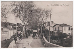 Ollioules Les Faubourgs - Ollioules