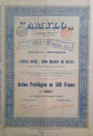 AMYLO - Bruxelles - 1897 ! - Action Priviligiée De 500 Francs - Landbouw