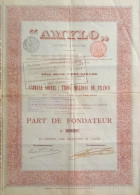 AMYLO - Bruxelles - 1897 ! - Part De Fondateur - Landbouw