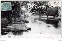 77 SAMOIS SUR SEINE VUE SUR LE PETIT BRAS DE SEINE - Samois