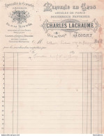 JOIGNY YONNE 1899 CHARLES LACHAUME MERCERIE EN GROS - 1800 – 1899