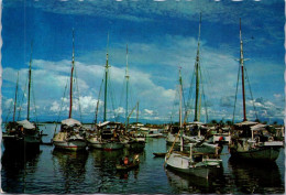 23-3-2024 (3 Y 48) Indonesia - Sulawasi - Ujang Pandang Harbour - Indonesië