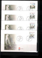 Groenland / Greenland 1999 WWF Owls FDC - FDC