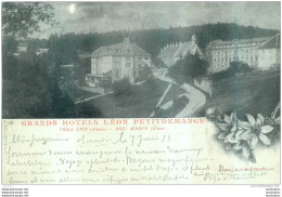 TROIS EPIS  DREI AEHREN GRANDS HOTELS LEON PETITDEMANGE OBLITERATION REICHSPOST 1899 - Autres & Non Classés