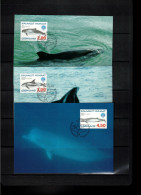 Groenland / Greenland 1998 Whales Maximum Cards - Cartoline Maximum
