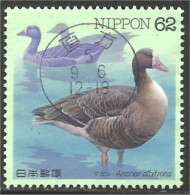 JAP-461 Japon Oie Goose Geese Gans Oca Ganso - Oche