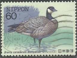 JAP-036 Japon Oiseau Bird Vogel Uccello Oie Goose Geese Gans Oca Ganso - Gansos