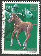 JAP-834 Japon Cheval Horse Pferd Paard Cavallo Caballo Poulain Foal - Paarden