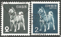 JAP-656 Japon Statue Statuette Dog Chien Hund Perru Cane 2 Colors - Honden