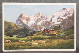 SUISSE , MURREN , JUNGFRAUGRUPPE , LOT 430 - Mürren