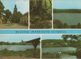 82998 - Buckow - U.a. Wurzelfichte - 1976 - Buckow