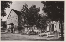 125777 - Frauenwald - Häuser Hinter Holzzaun - Arnstadt