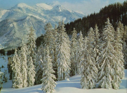 132371 - Spitzingsee - Blick VomStümpflinghaus - Schliersee