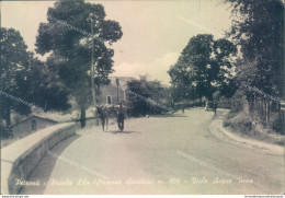 Z110 Cartolina Petrona' Piccola Sila Viale Acqua Vona Provincia Di Catanzaro - Catanzaro