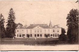 Roissy En Brie - 1919 - Vue Principale Du Château # 9-23/21 - Roissy En Brie