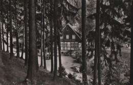 62218 - Langelsheim - Waldgaststätte Im Tannengrund - Ca. 1960 - Langelsheim