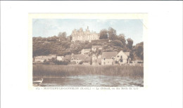 MONTIGNY LE GANNELON   Le Chateau Vu Des Bords Du Loir      ///     A SAISIR    ///// - Montigny-le-Gannelon