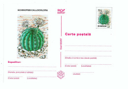 IP 97 - 23 CACTUS, Romania - Stationery - Unused - 1997 - Postal Stationery